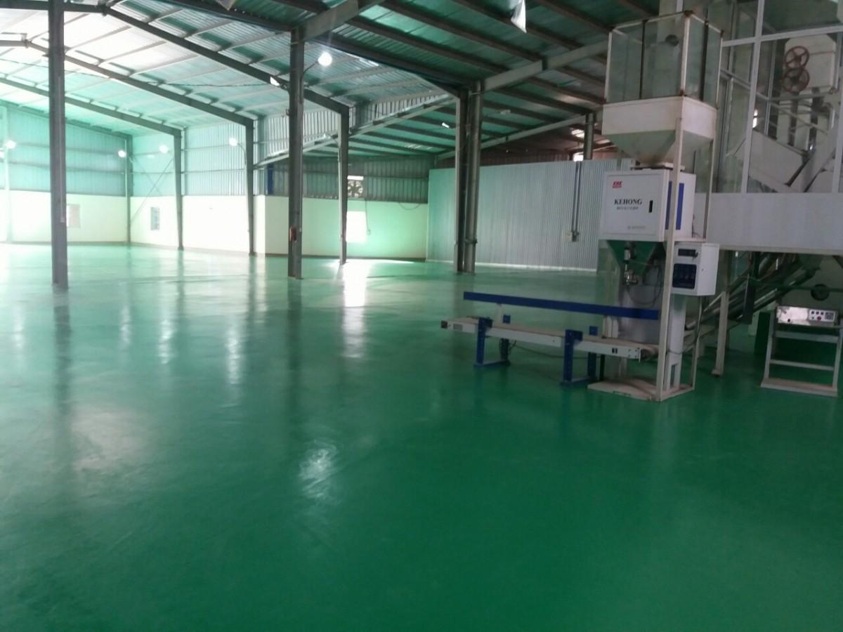 Báo giá sơn epoxy