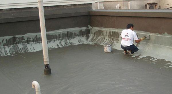 Thi công sơn chống thấm hồ cá diện tích lớn