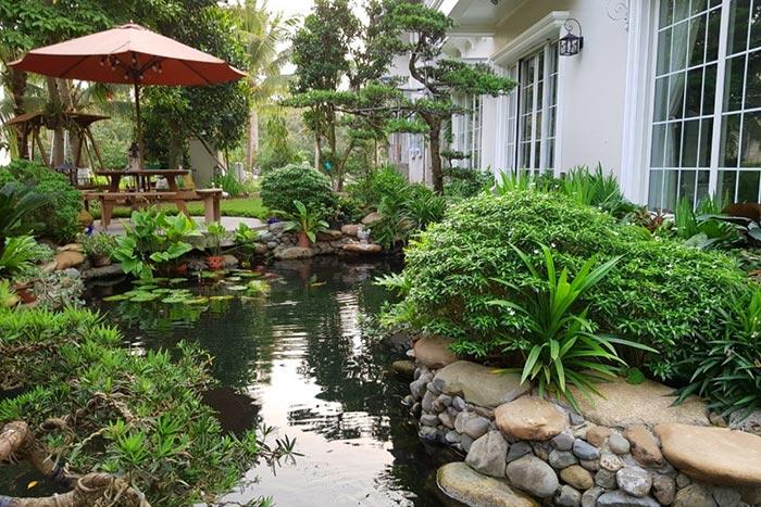 thiết kế hồ cá koi đẹp