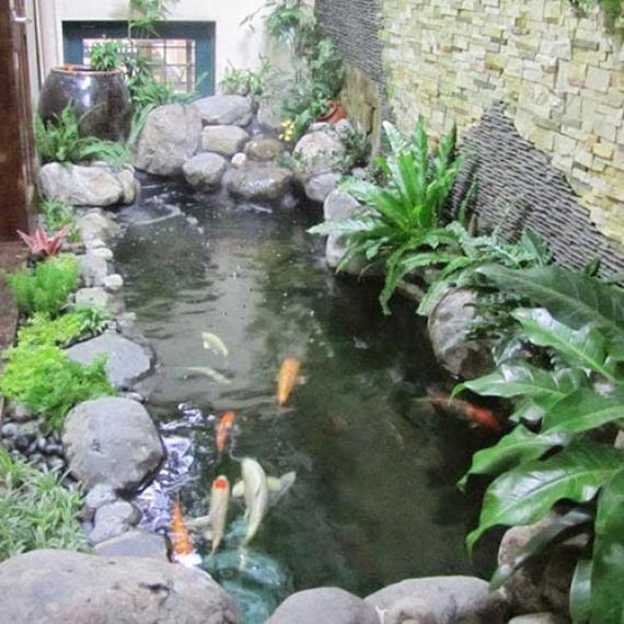 Gợi ý 5 mẫu thiết kế hồ cá koi đẹp khiến bạn thích mê